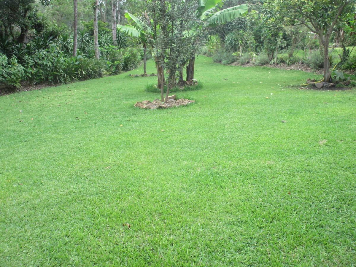 Kilimanjaro Eco Lodge Usa River Kültér fotó