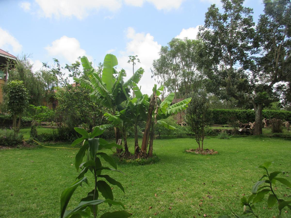Kilimanjaro Eco Lodge Usa River Kültér fotó